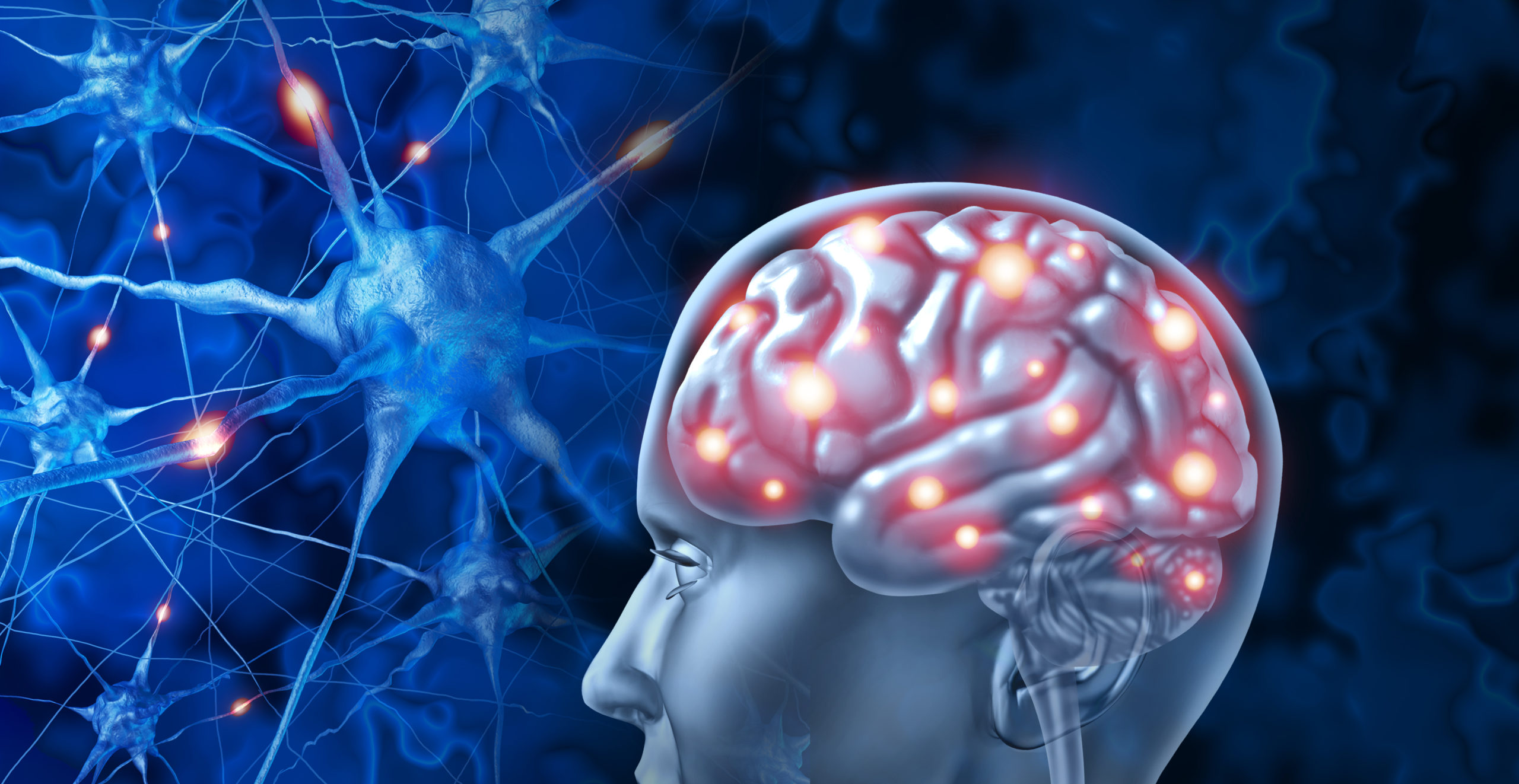 La neuroplasticidad es clave para la rehabilitación