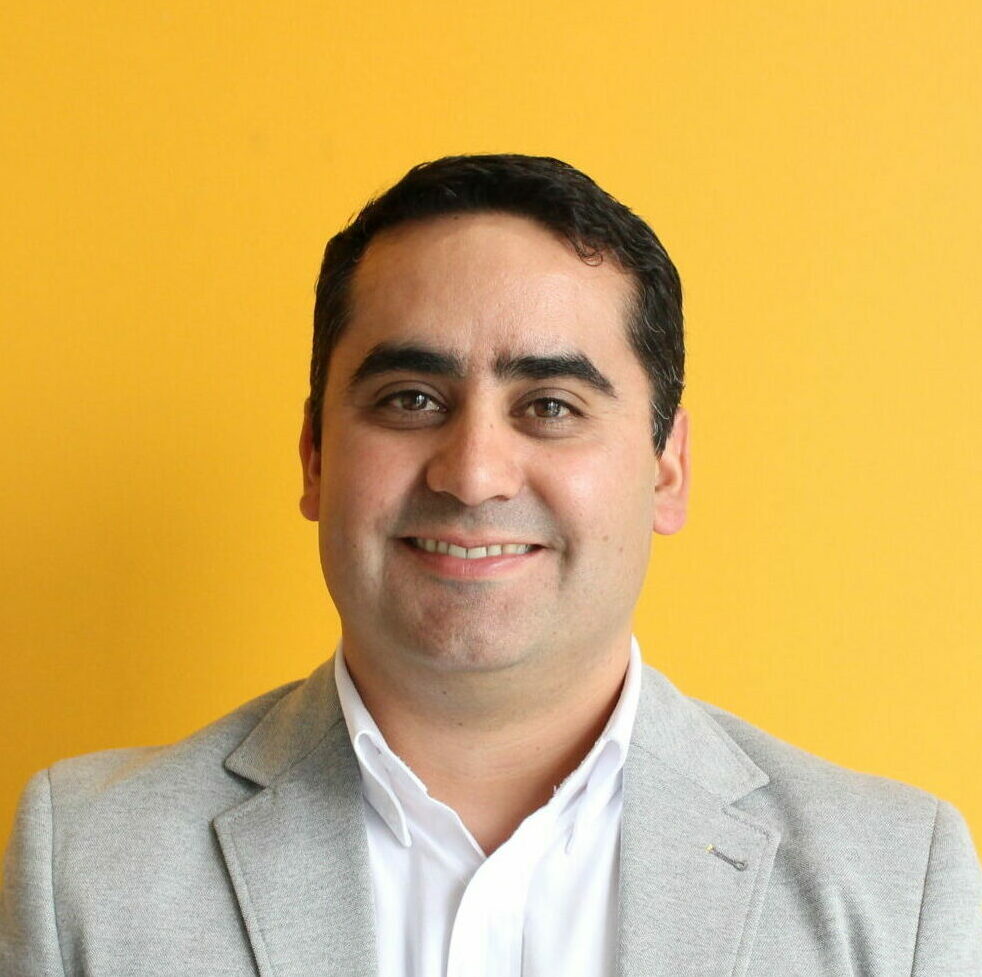 Sebastián Mardones